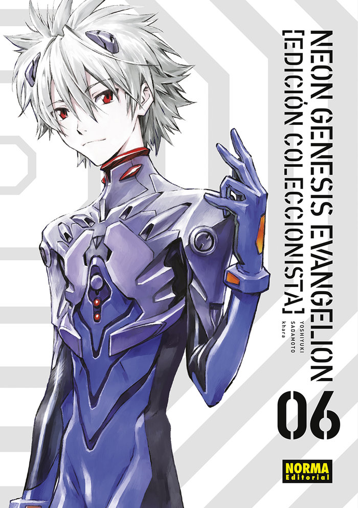 Neon Genesis Evangelion 06