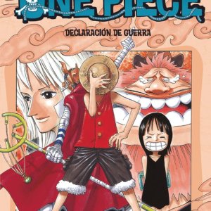 One Piece 41