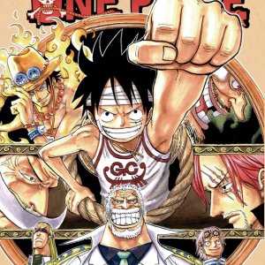 One Piece 45