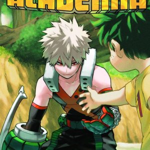 My Hero Academia 29