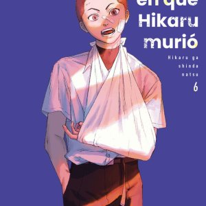 El Verano en que Hikaru murió 6