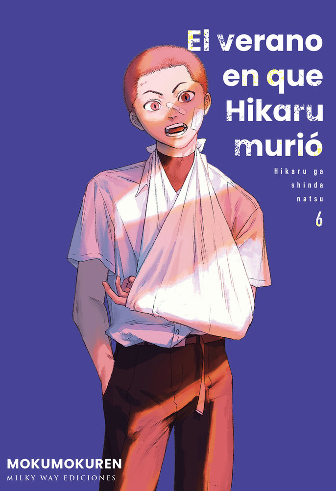 El Verano en que Hikaru murió 6