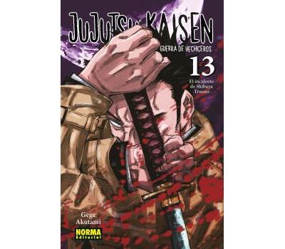 Jujutsu Kaisen 13