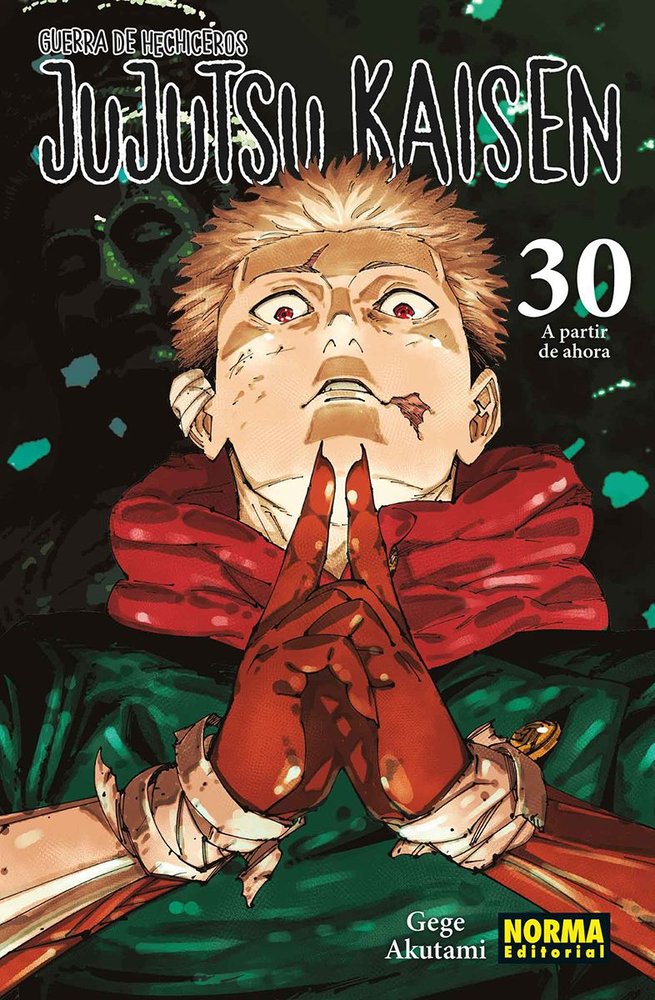 Jujutsu Kaisen 30